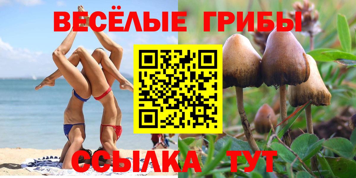 Ишим  Галлюциногенные грибы Psilocybe  продажа наркотиков  Вход с VPN  Псилоцибиновые грибы мицелий 